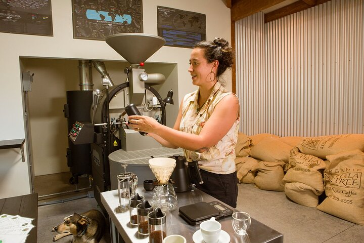 Coffee Brewing Workshop - Photo 1 of 6